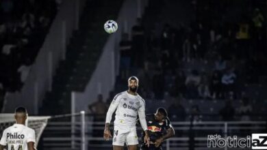 Palmeiras e Santos não se dão bem na rodada do Brasileirão