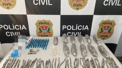 Drogas que seriam distribuídas em São Vicente são apreendidas pela Polícia