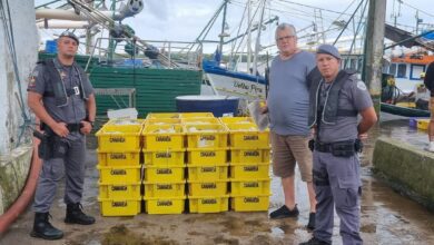 Polícia Ambiental apreende 4 toneladas de pescado