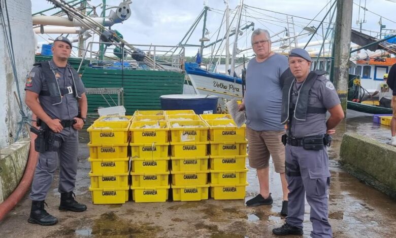 Polícia Ambiental apreende 4 toneladas de pescado