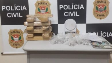 Grande quantidade de drogas é encontrada em área de mata de Cubatão