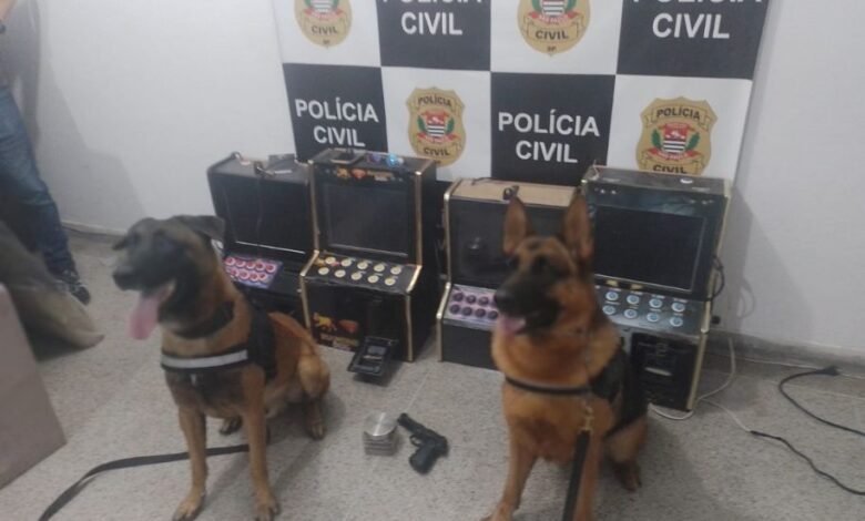 Operação resulta na apreensão de drogas e simulacro no Parque SV