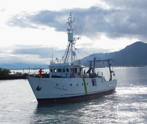 Arquipélago de Alcatrazes passa por pesquisa e investigação de pesca ilegal