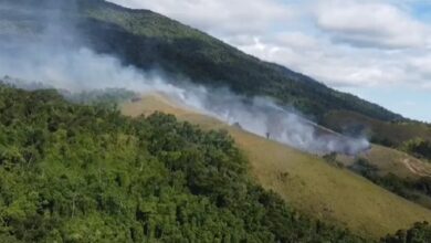 Área de 80 mil metros em Ilhabela é alvo da queimada