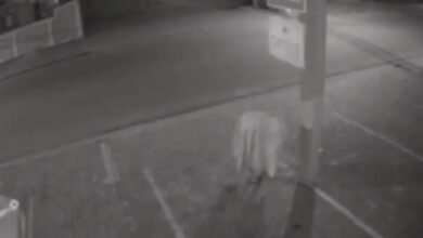 VÍDEO - Homem usa lençol para roubar fiação elétrica e é confundido com fantasma