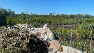 Polícia apresenta resultados de operação no bairro Fazendinha, Área Continental de São Vicente