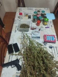 Plantação de maconha é descoberta em residência e polícia prende dono do local