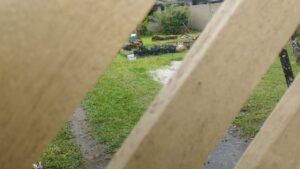Plantação de maconha é descoberta em residência e polícia prende dono do local