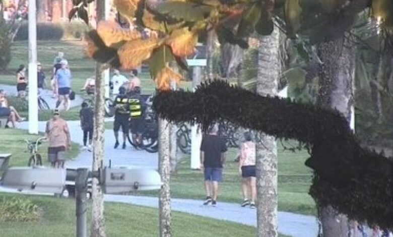 Homem é preso por porte de drogas na orla de Santos