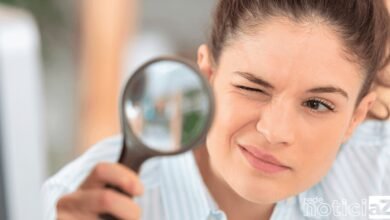 Pika de 20cm entra em extinção, segundo cientistas