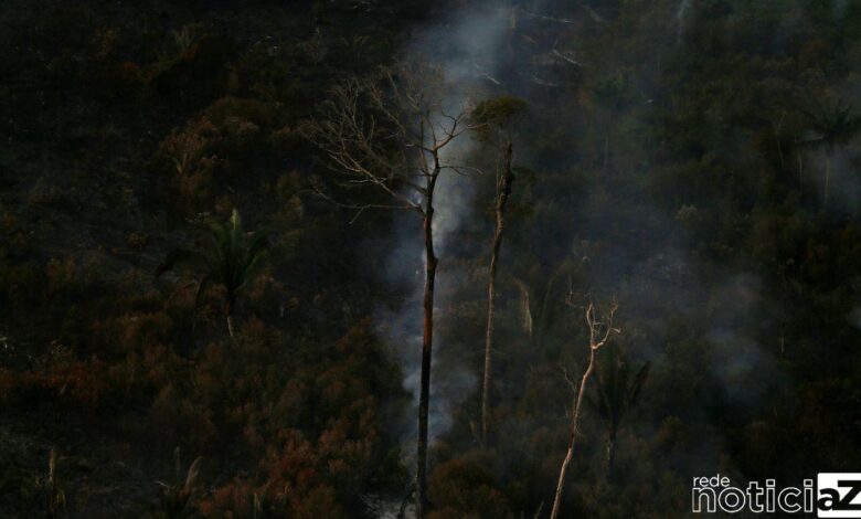 No primeiro semestre deste ano, 2,15 milhões de hectares foram queimados no Brasil, revela mapeamento feito pelo MapBiomas Brasil, uma rede colaborativa formada por organizações não governamentais (ONGs), universidades e empresas de tecnologia, que produz um relatório sobre a cobertura e uso da terra. Segundo o mapeamento, isso significou queda de 1% em relação ao mesmo período do ano passado. Se for considerada apenas a região da Amazônia, no entanto, as queimadas aumentaram 14% em relação ao último ano. De acordo com o MapBiomas, a Amazônia foi o bioma com a maior área queimada no semestre, com 1,45 milhão de hectares devastados em 2023, o que corresponde a 68% de toda a área queimada do Brasil nesse período. Em segundo lugar, vem o Cerrado, com 639 mil hectares, o que representou 30% sobre o total de área queimada no país e aumento de 2% em comparação com o mesmo período de 2022. “A área queimada no primeiro semestre de 2023 no Cerrado está dentro da média dos últimos anos, com destaque para ações de queimas prescritas que são realizadas nesse período como parte da estratégia de prevenção de incêndios florestais do MIF (Manejo Integrado do Fogo). Porém, a área queimada em junho foi maior do que nos meses anteriores, porque o período de seca no bioma está só começando. A situação pode se agravar ainda mais com a chegada do fenômeno El Niño”, diz, em nota, a coordenadora operacional do MapBiomas Fogo, Vera Arruda, pesquisadora do Instituto de Pesquisa Ambiental da Amazônia. De toda a área queimada no primeiro semestre deste ano no país, 84% eram de vegetação nativa, a maioria em formações campestres. Segundo o MapBiomas, as pastagens se destacaram entre os tipos de uso agropecuário, representando 8,5% de toda a área queimada. O relatório revelou ainda que, na Mata Atlântica (10.220 hectares) e no Pantanal (13 mil hectares), a área queimada no primeiro semestre deste ano foi a menor dos últimos cinco anos. A Caatinga seguiu a tendência de queda, com a área queimada no primeiro semestre inferior à dos anos anteriores, com 818 hectares atingidos. Já no Pampa foram queimados 7 mil hectares.