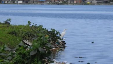 Feto é encontrado na Largo da Pompeba, em São Vicente