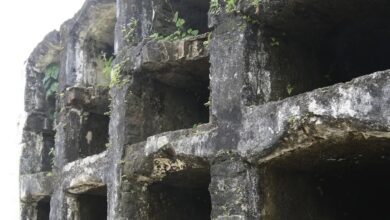 Crânios de cadáveres são furtados de cemitério em Santos