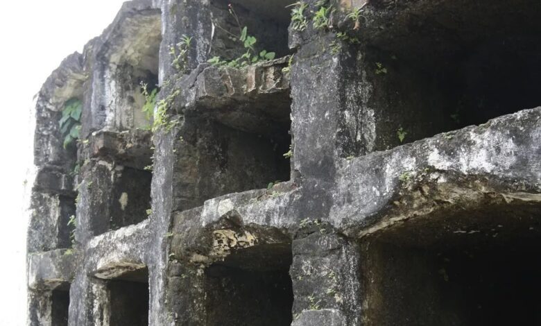 Crânios de cadáveres são furtados de cemitério em Santos