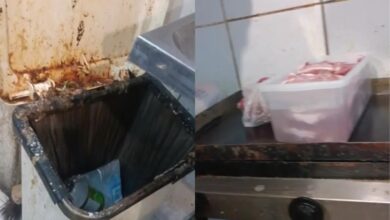 VÍDEO - Imagens mostram restaurante infestado por insetos