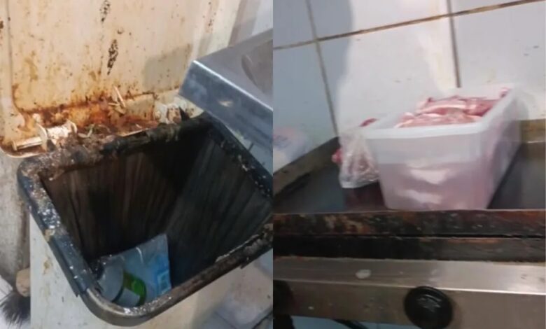 VÍDEO - Imagens mostram restaurante infestado por insetos