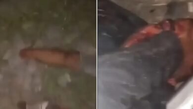 Jovem tem pé decepado após ser atropelado por trem