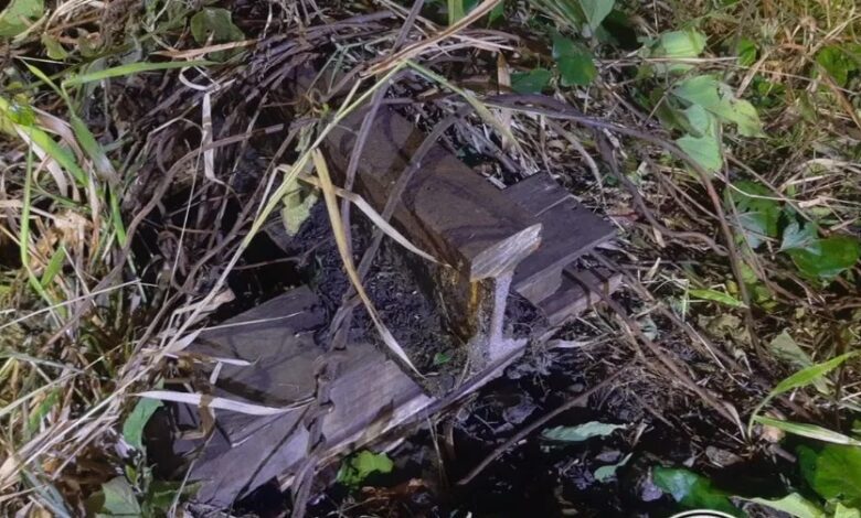 Crânios de cadáveres são furtados de cemitério em Santos