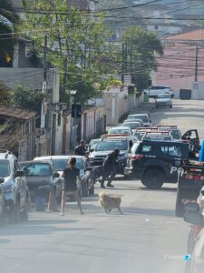 VÍDEO - Sobe para 13 o número de mortos na Baixada Santista durante ação policial