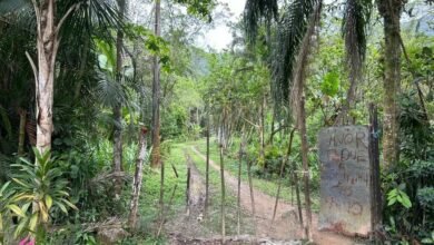 Mulher é assassinada a machadadas pelo companheiro em Santos
