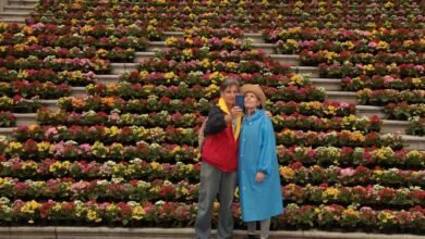 Santos amanhece florida neste final de semana