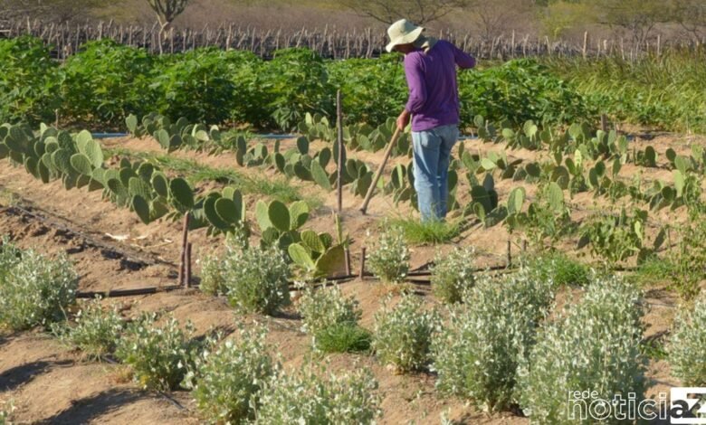 Inadimplência atinge 28% dos produtores rurais no país