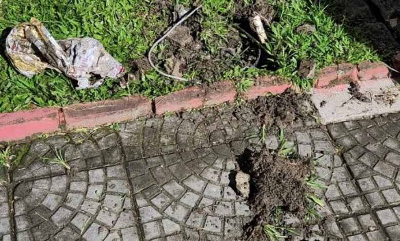 Dupla é presa por furto de de fiação elétrica