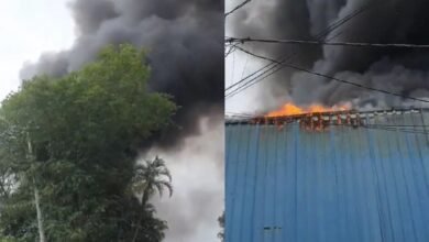 Incêndio atinge fábrica de pães congelados em Santos