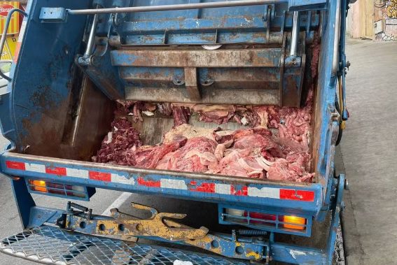 Lojas de açougue são fechadas na Baixada Santista devido a carne estragada