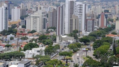 os novos dados refletem a idade e sexo da população brasileira e reflete o atual momento de cada estado