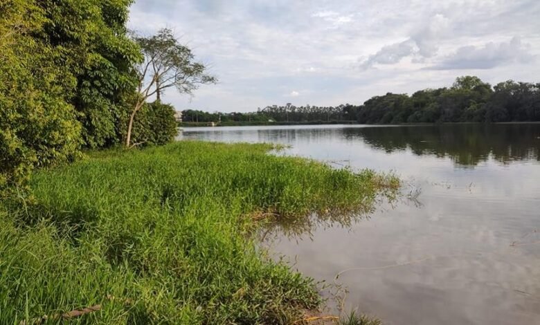 Adolescente morre afogado em represa de Severínia