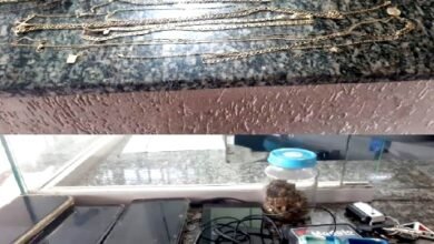 Ocorreram furtos durante a festa Bloquim