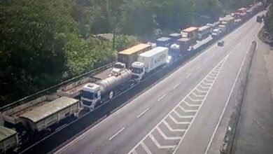 Travessia de balsas no Litoral fica com enorme fila devido a excesso de caminhões em rodovia