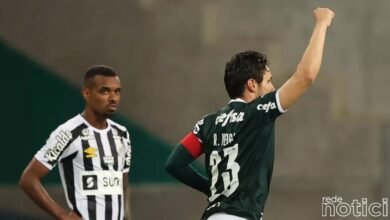 Palmeiras
