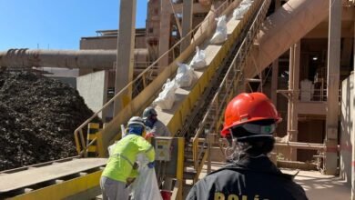 Três toneladas de drogas são incineradas pela Polícia em Santos