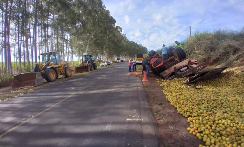 Motorista perde o controle e tomba na rodovia