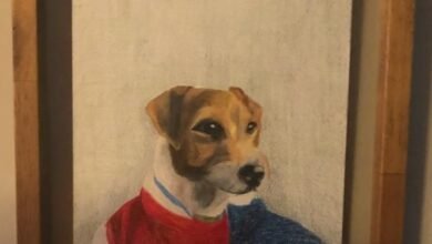 Exposição de Celia Petrov no Shopping North