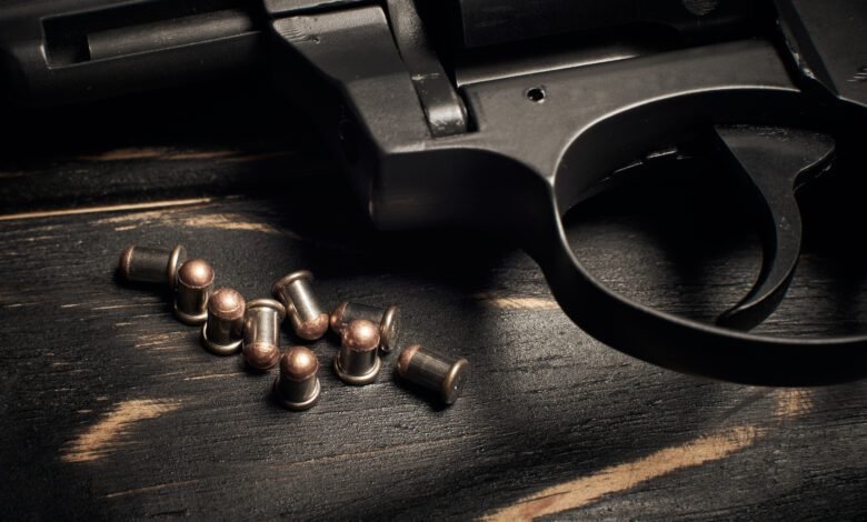 Arma de fogo é encontrada em casa