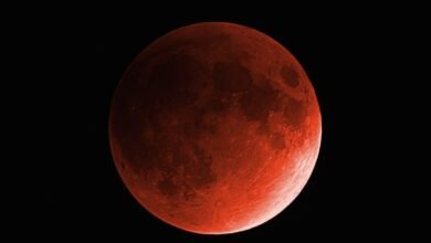 VÍDEO - "Lua de Sangue" faz os brasileiros madrugarem para ver o fenômeno