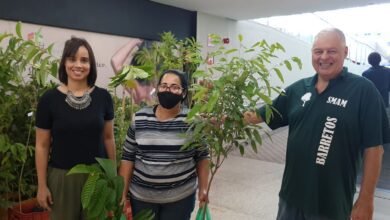 Dia do Meio Ambiente: O North Shopping distribui mais de 200 mudas de árvores