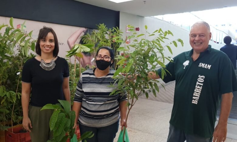 Dia do Meio Ambiente: O North Shopping distribui mais de 200 mudas de árvores