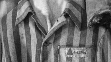 Arte no Shopping recebe exposição "Vozes Mudas"