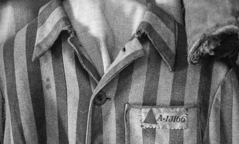 Arte no Shopping recebe exposição "Vozes Mudas"