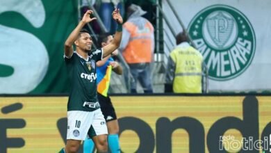 Palmeiras massacra o Botafogo e vira líder do Brasileirão