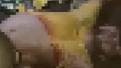 Sexo, Furto e Tiros em Show de Henrique e Juliano