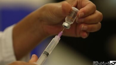 Vacina contra a Covid-19 é recomendada para bebês com mais de 6 meses, diz CDC