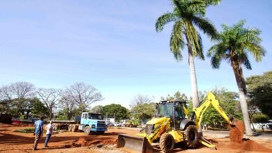 Iniciado o processo de retirada das palmeiras imperiais e árvores a Praça Nove de Julho