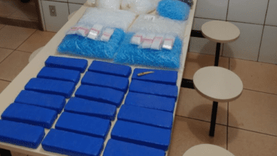 Polícia apreende mais de 9 kg de maconha