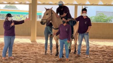 APAE retoma equoterapia depois de furto
