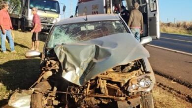 Motorista perde o controle do carro, atravessa a pista e bate em árvore